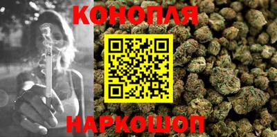 дмт Камышлов
