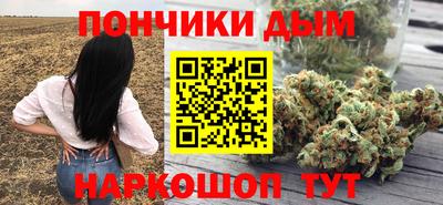 дмт Камышлов